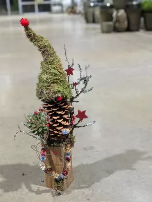 👥Cours d'Art floral Pin et Mousse