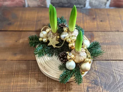👥Cours d'Art floral Pin et Amaryllis (bulbe en croissance)