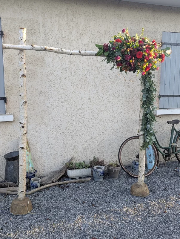 Grande arche florale de mariage, style champêtre bohème, avec eucalyptus, roses rouges, dahlias et branches de bouleau.