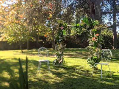 Arche florale de cérémonie de style exotique avec feuilles de Monstera, palmiers et anthuriums roses pour mariage
