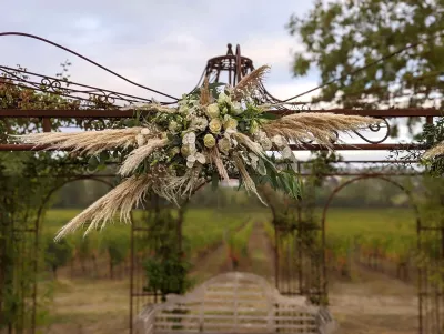 Décoration d'arche bohème avec pampa volumineuse, roses crème et feuillage vert pour un mariage en extérieur.