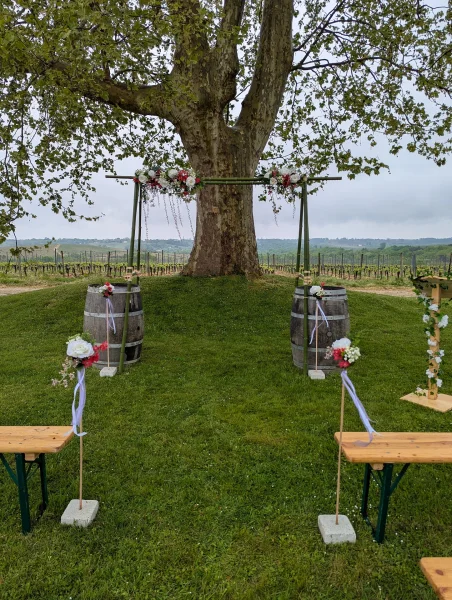Arche florale champêtre et exotique avec roses blanches et fleurs rouges suspendues, cérémonie de mariage en extérieur.