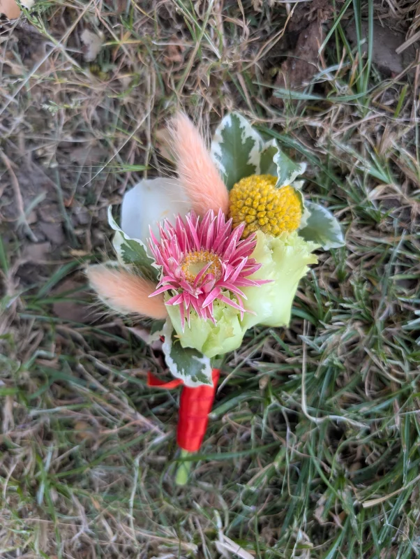 Sophisticated rustic buttonhole with fuchsia dahlia, yellow craspedia and variegated foliage.