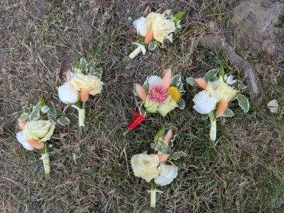 Boutonnières champêtres sophistiquées avec roses blanches, lagurus et feuillage panaché.