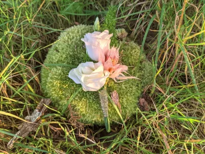 Boutonnière exotique et élégante avec une rose blanche et une petite fleur rose pour un mariage d'automne