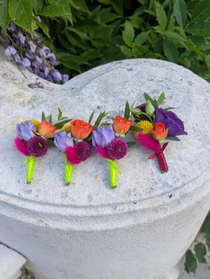 Boutonnières colorées avec roses orange, dahlias violets et plumes fuchsia pour mariage.