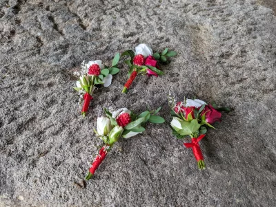 Boutonnière de marié champêtre avec roses blanches, fleur rouge pompon et feuillage d'eucalyptus, pour un mariage estival.