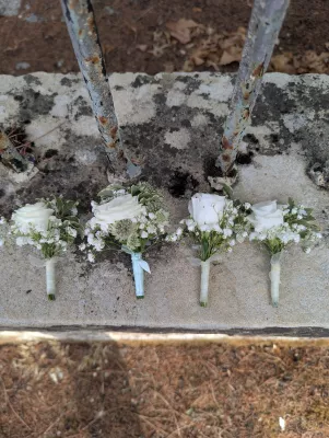 Four sophisticated country-style buttonholes with white roses and gypsophila for a wedding.