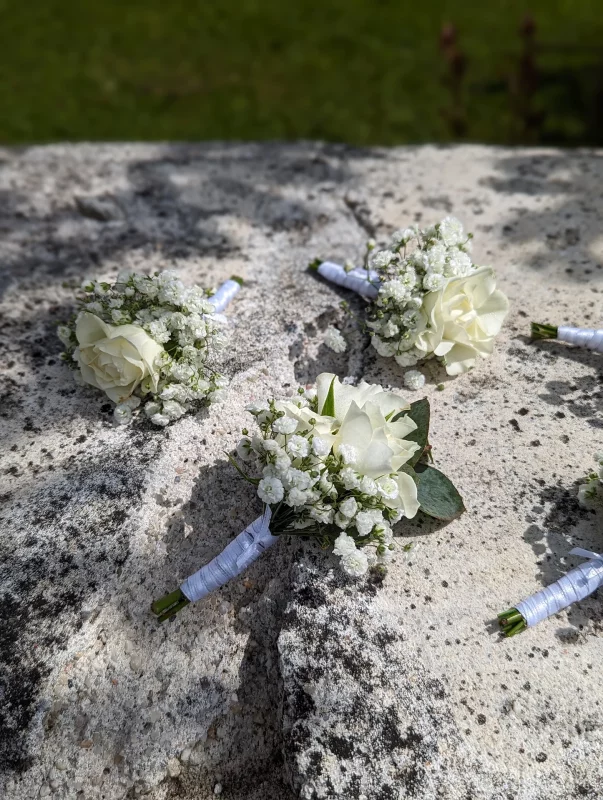 Delicate rustic chic style buttonholes composed of white roses, gypsophila and green foliage for a wedding.