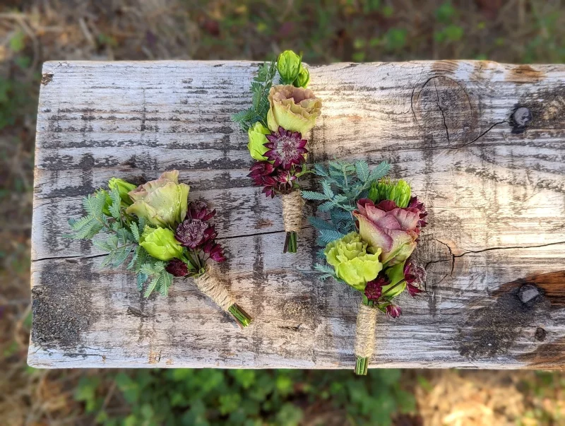 Wildflower-inspired buttonhole with purple scabious, pale green rose, and mixed foliage for a wedding in Blanquefort.