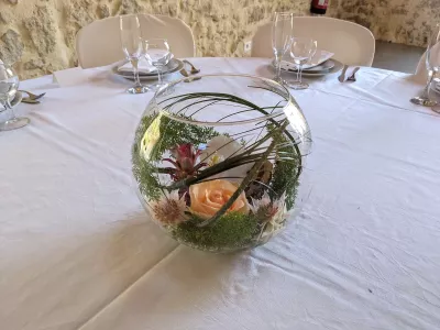 Centre de table exotique dans un bol en verre avec rose pêche, orchidée, guzmania et lotus séché pour mariage