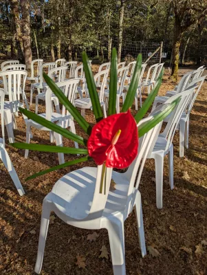 Décoration d'allée de cérémonie extérieure avec des anthuriams rouges vifs et des feuilles vertes sur chaque chaise blanche.