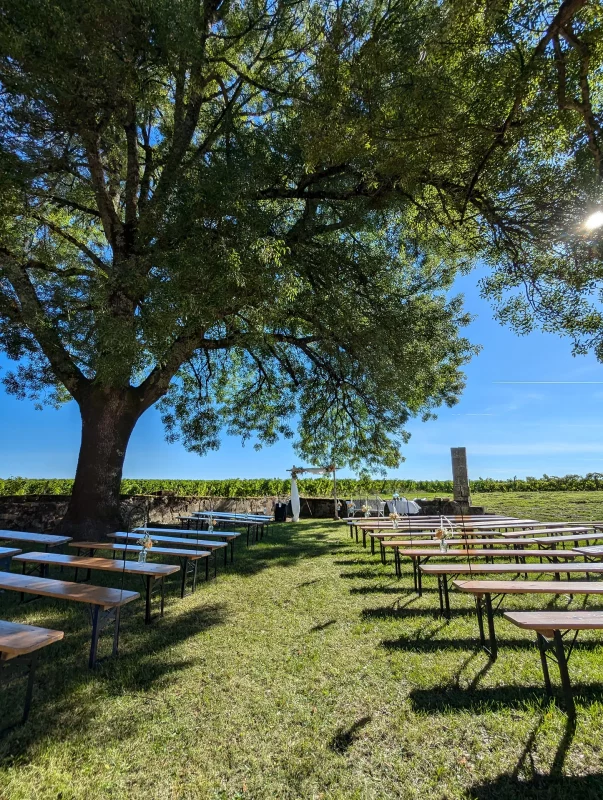 Outdoor countryside ceremony styling featuring a floral arch of peach roses, dahlias and foliage, with vineyards in the background.