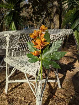 Chaise en osier décorée d'une grappe d'orchidées orange et d'une grande feuille verte pour une cérémonie exotique.