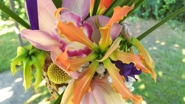 Gros plan d'une composition exotique suspendue, avec gloriosa orange, anthurium rose, feuillage et craspedia jaune pour un mariage.