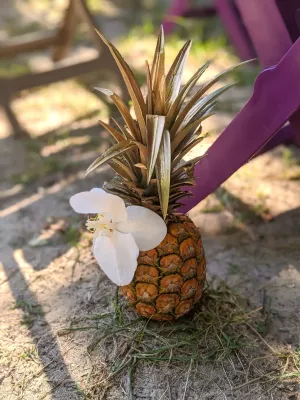 Décoration d'allée de mariage exotique avec un ananas doré et une orchidée blanche, créant une ambiance tropicale.