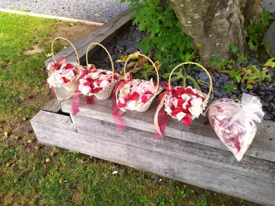 Paniers d'osier remplis de pétales de roses rouges, roses et blanches pour la sortie des mariés, accessoires de cérémonie.