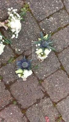 Deux peignes floraux champêtres pour coiffure, ornés de chardons bleus, petites roses blanches et gypsophile pour un mariage.