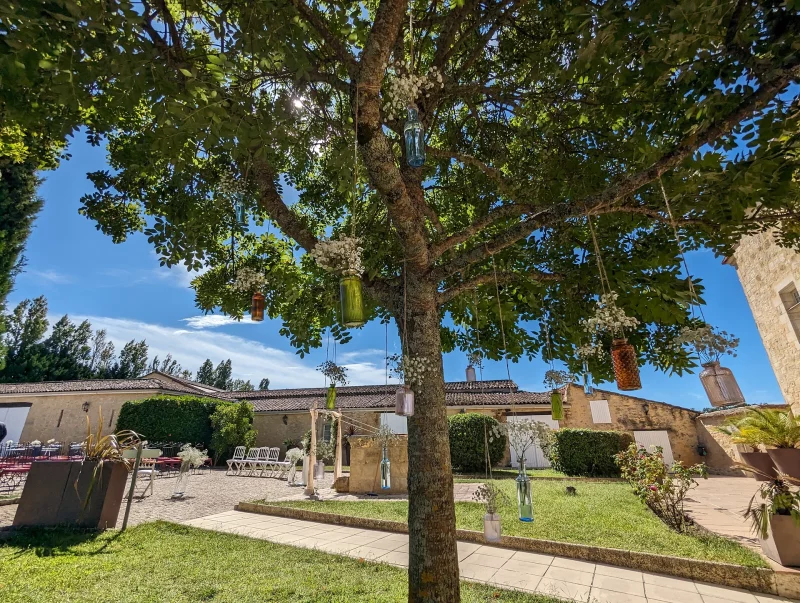 Arbre décoré champêtre avec bouteilles en verre colorées et brins de gypsophile et eucalyptus pour un mariage.